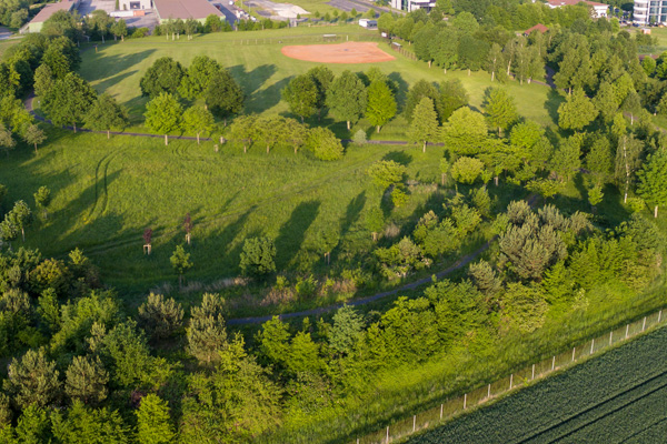 Park im Münsterfeld