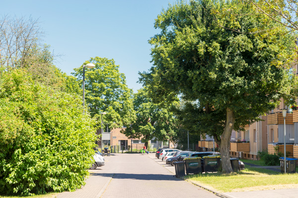 Wohnen im Münsterfeld